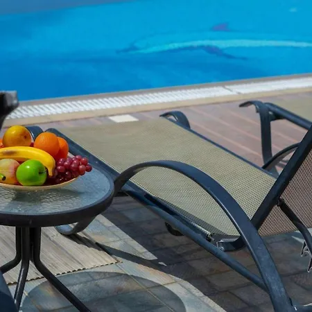Cherry Palm